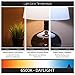 Sunlite 05022 FC16T9/DL T9 Round Fluorescent Circline Lamp, 40 Watts, 2600 Lumens, 6500K Daylight, RoHS Compliant, G10Q 4-Pin Base, 1 Pack