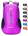 Venture Pal Packable Lightweight Backpack Small Water Resistant Travel Hiking Daypack