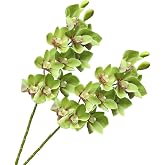 XZJMY 28.4"Artificial Phalaenopsis Flowers,Latex Phalaenopsis Branches 2Pcs | 3D Faux Cymbidium Flowers 10 Large Petals Orchids Faux Flower Bendable Wire Stem for Home/Office/Wedding Decor(Green)