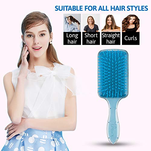 Hair Brush Princess Wholehearted HairBrush for Girls, Hairbrush for