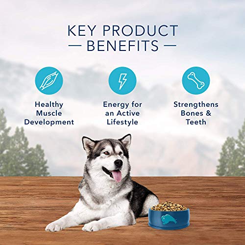 Blue-Buffalo-Wilderness-Rocky-Mountain-Recipe-High-Protein-Grain-Free-Natural-Adult-Dry-Dog-Food