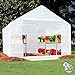 King Canopy Greenhouse 10-Feet by 10-Feet, 1 3/8-Inch Steel Frame, 6-Leg, Opaque, GH1010