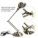 Haitral HT-TL619BR Desk Lamp Adjustable Flexible Arm Metal Basic
