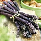Asparagus Purple Passion - 12 Crowns - Extra High Yield & Sweet! Ships from USA!