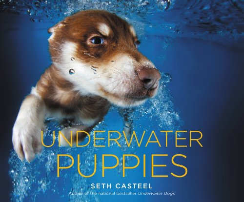 Download Underwater Puppies Download Underwater Puppies