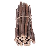 Hypeety Pet Snacks Apple Wood Sticks Chew Toy for Squirrel Rabbits Guinea Pigs Chinchilla Parrot