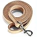 Logical Leather 6 Foot Dog Leash - Best for Training - Heavy Full Grain Leather Lead - Tan