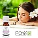 Geranium Essential Oil (Egyptian) 10 ml (0.33 fl. Oz.) - GCMS Tested, 100% Pure, Undiluted and Therapeutic Grade