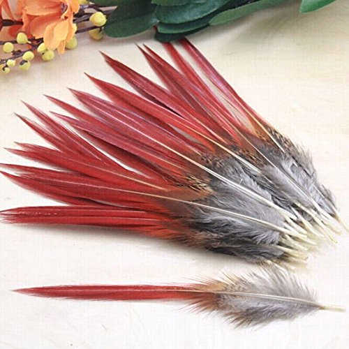 image for no!no! 50pcs/lot Beautiful pheasant feathers red sword rare feathers b