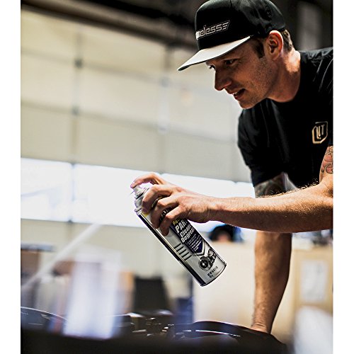 Gumout 540001 Regane Parts Cleaner and Degreaser, 16 oz Pricepulse