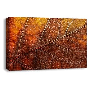 Leaf Veins Pictures Home Wall for Bedroom Living...