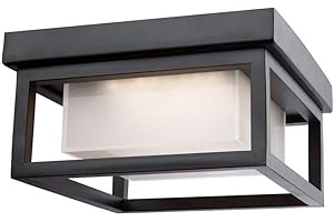 Artcraft Lighting AC9136BK Outdoor Ceiling Light, One Size, Black