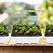 Oak Leaf 10-Pack Seed Starter Tray, 120 Cells Seedling Starter Trays Kit Greenhouse Supplies Seed Trays with Dome and Base, Labels and Hand Tool Kit, 12 Cells per Tray
