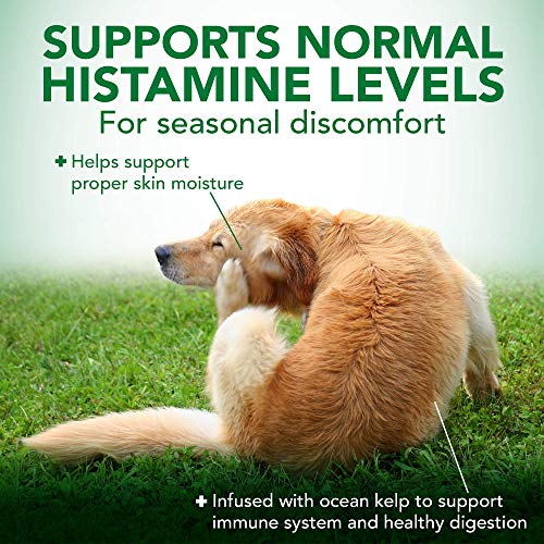 Vet's Best Seasonal Allergy Soft Chews (2 Pack)