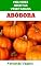 Livro Abóbora