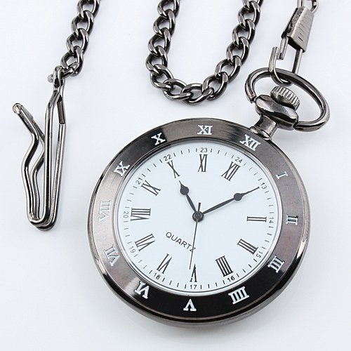 ESS Mens Black Stainless Steel Case White Dial Roman Numerals Antique Pocket Watch with Chain WP099