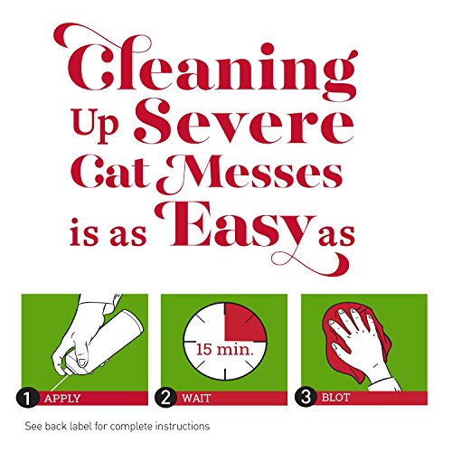 Nature's Miracle Pet Stain and Odor Remover Foam Aerosol Sprays, 17.5