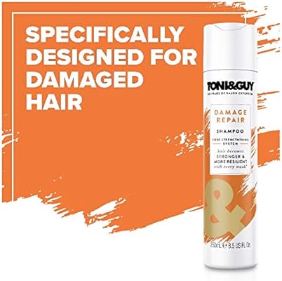 Toni Guy Damage Repair Repairing Shampoo 250ml Amazon Sg Beauty