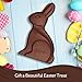 DOVE Milk Chocolate Solid Easter Bunny, 12 Ounce