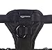 Amazon Basics Adjustable Dog Leash with Harness, Medium (25-50 lbs.)