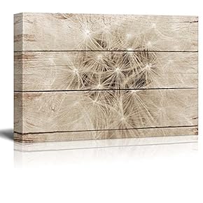 Closeup of Dandelion Fluff - Rustic Floral Arrangements - Pastels Colorful Beautiful - Wood Grain Antique - Canvas Art Home Art - 12x18 inches