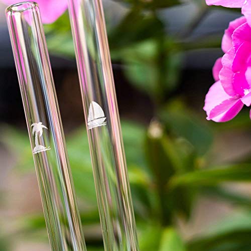 HÅLM Glas-Strohhalme - Summer Edition mit Gravur - 6 Stück gerade 20 cm - Sommer Strohhalme - Wiederverwendbare Glas… – Bild 3