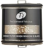 T3 Source In-Line Replacement Filter