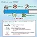 Swift Green Filters SGF-LB60 Replacement Refrigerator Water Filter for 5231JA2006B, LT 600P, 5231JA2006A, EFF-6004A, 46-9990,RWF1051 (2 Pack) Made in USA