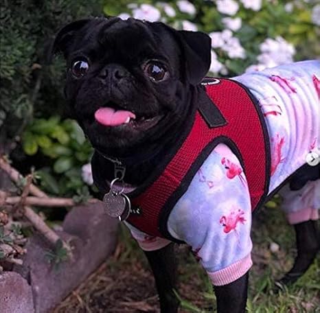 cutebone dog pajamas