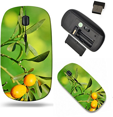 Liili Wireless Mouse Travel 2.4G Wireless Mice with USB Receiver, Click with 1000 DPI for notebook, pc, laptop, computer, mac book IMAGE ID 32961274 closeup of a kumquat in a green and yellow field on