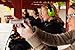 HEARTEK Hearing Protection Noise Cancelling Ear Muffs, Shooting Ear Protection