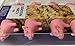 Pink Pig, Stainless Steel Prong, Corn on the Cob, Handles Holders Set of 4