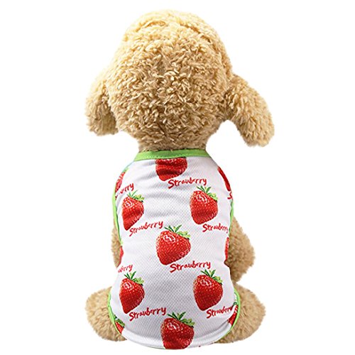 NEARTIME Puppy Clothes, Small Dog Cat Pet Dress Fly Sleeve Dress for Pet (XL, B-Red)