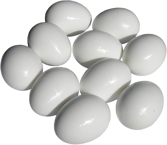 Truthahnei gegen huehnerei