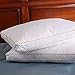 Set of 2, Down and Feather Pillow with 2