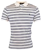 Polo Ralph Lauren Men's Medium Fit Striped Interlock Polo
