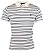 Polo Ralph Lauren Men's Medium Fit Striped Interlock Polo