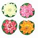 NAVAdeal 4PCS Artificial Floating Foam Lotus Flowers, Realistic Water Lily Pads, Vibrant Color Pink Ivory Orange Crimson, Perfect for Home Garden Patio Pond Aquarium Swimming Pool Wedding Party Decor