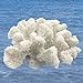 Redeco White Artificial Resin Rice Coral, Home Office Ornament, Aquarium Decoration, Ocean Sea Decor 5