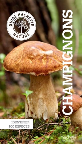 Champignons