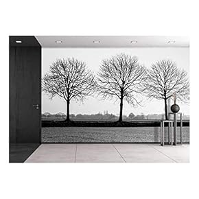 Five Bare Trees in a Row at The Edge of a Small Dutch Village. - Removable Wall Mural | Self-Adhesive Large Wallpaper - 66x96 inches