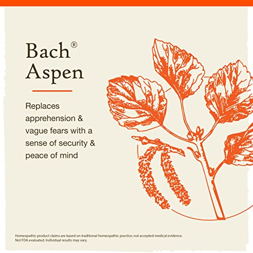 Bach Original Flower Remedies, Aspen for Apprehension and Security