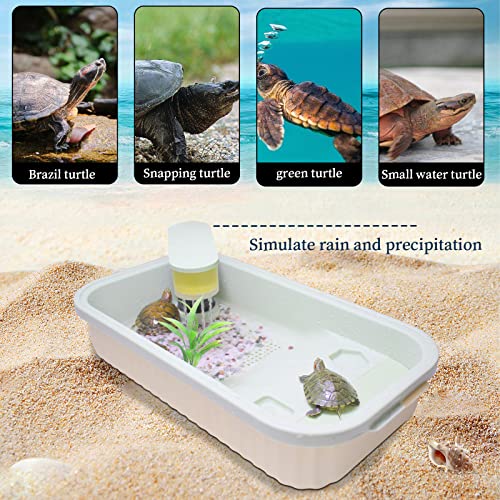 PTGVCTA Turtle Baby Tank Starter Kit Aquarium Includes Accessories