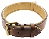 Kingston Leather Padded Dog Collar