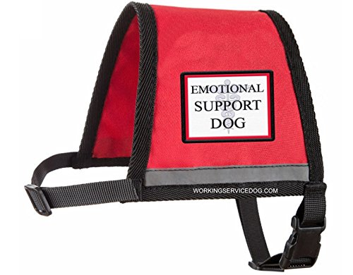 service dog vest with id holder