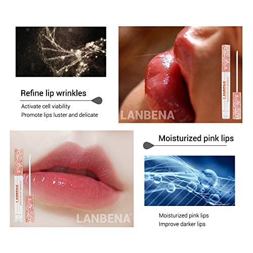 4 Fanmin+Moisturizing+Plumping+Creating+Lipstick