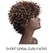 sleek Afro Mixed Color 5