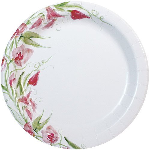 Nicole Home Collection 24 Count Everyday Paper Plate, 10-Inch, Pink Floral