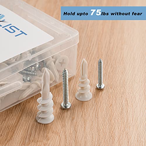 USA Stock Self Drilling Plastic Drywall Anchors and Screws Kit 100