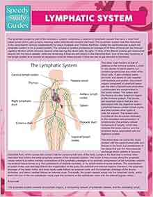 Lymphatic System Speedy Study Guide 9781634289627